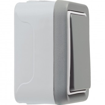 Однополюсный переключатель LEGRAND на 2 направления Plexo накладной монтаж 10 A 250 В серый Однополюсный переключатель LEGRAND на 2 направления Plexo накладной монтаж 10 A 250 В серый